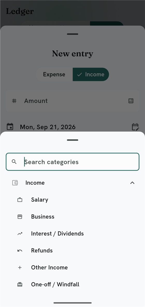 New entry sheet set to Income showing Salary, Business, Interest / Dividends, Refunds, Other Income and One-off / Windfall